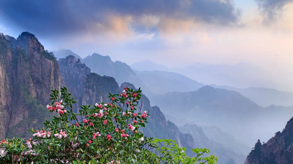 黃山