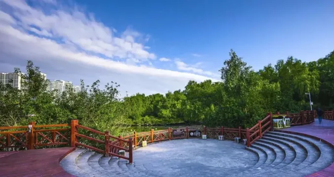 大亞灣紅樹林城市濕地公園