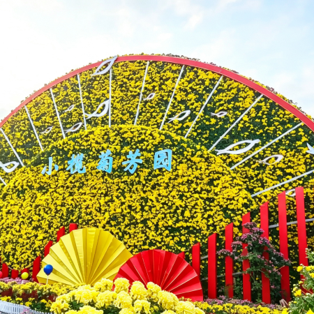 中山1天團·《平玩》「一年一度中山菊花展覽會」 品嚐【菊花傳統名菜宴】抵玩1天團
