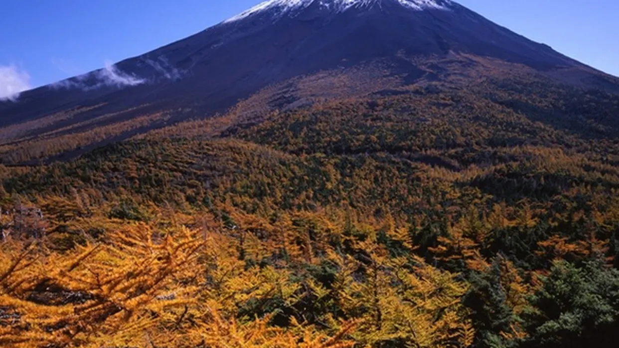 富士山五合目