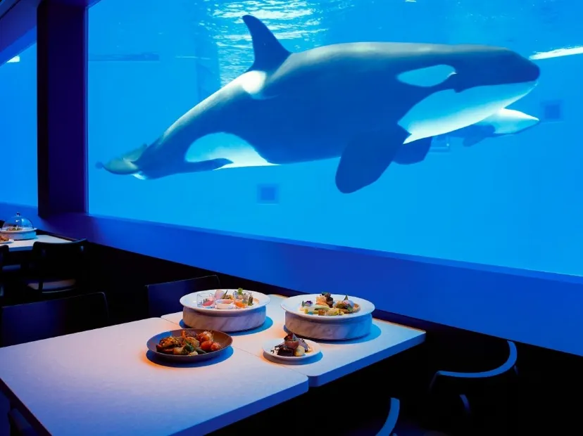 BLUE OCEAN Orca Stadium自助午餐