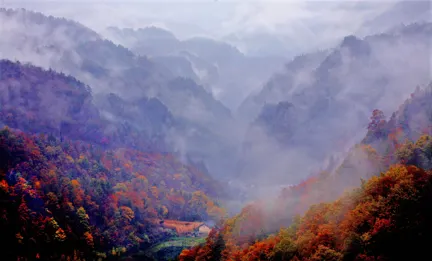 神農頂