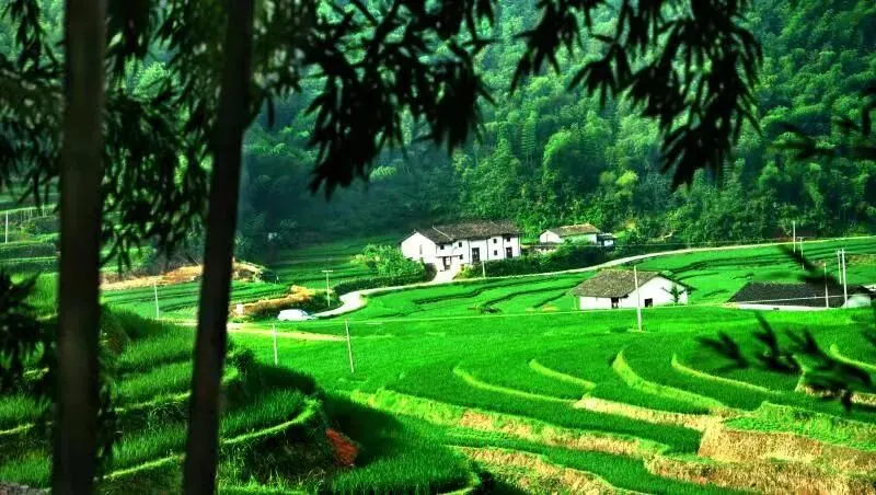 上堡梯田