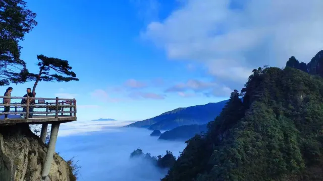 莽山·五指峯景區