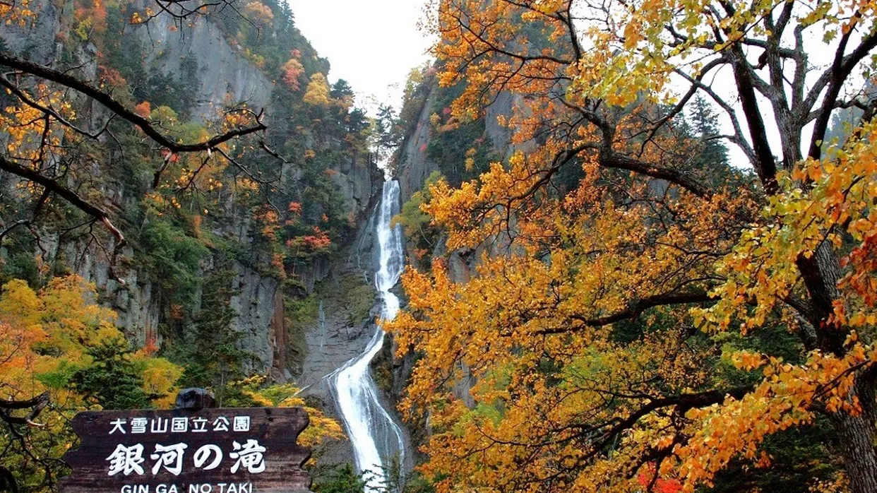 銀河及流星瀑布