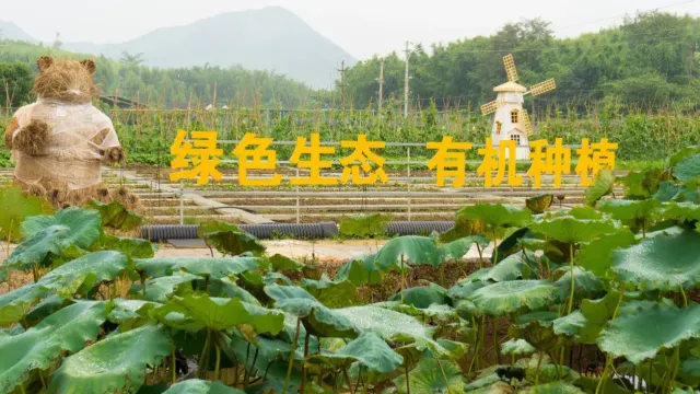 佛岡藥王穀湯泉康養酒店 