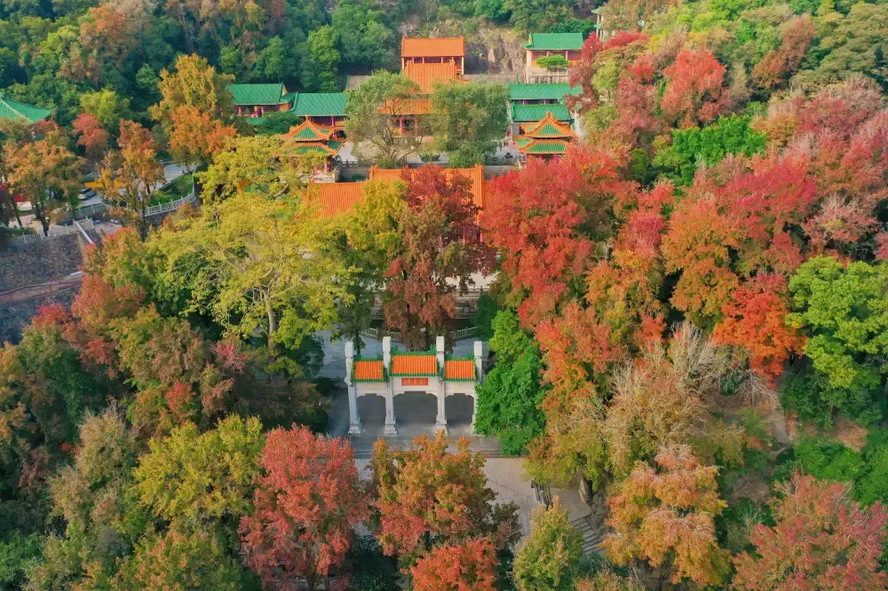 永安旅游