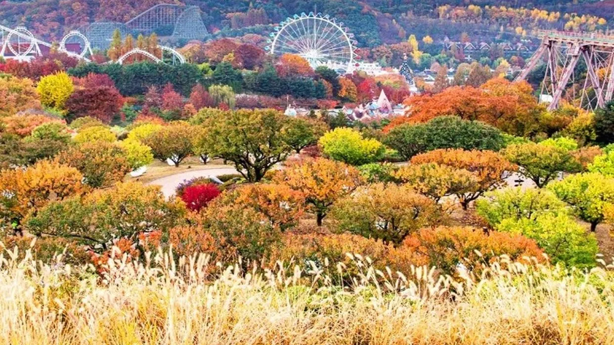 愛寶樂園Everland