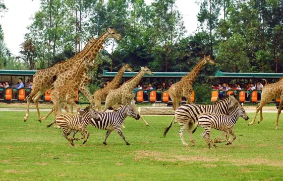 廣州長隆野生動物世界