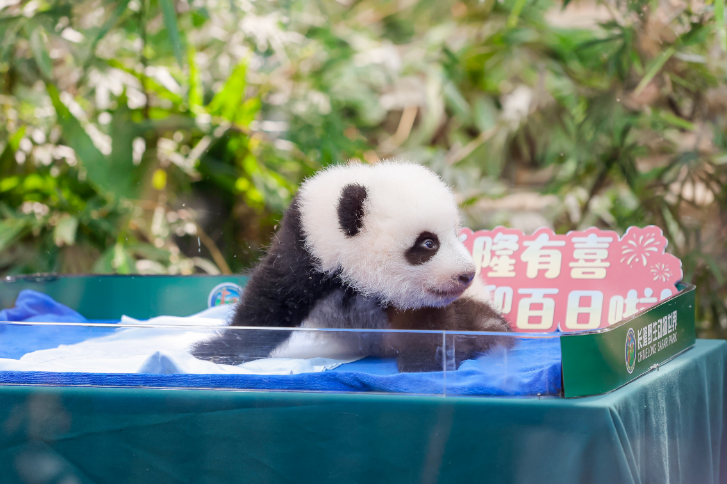 廣州長隆野生動物園