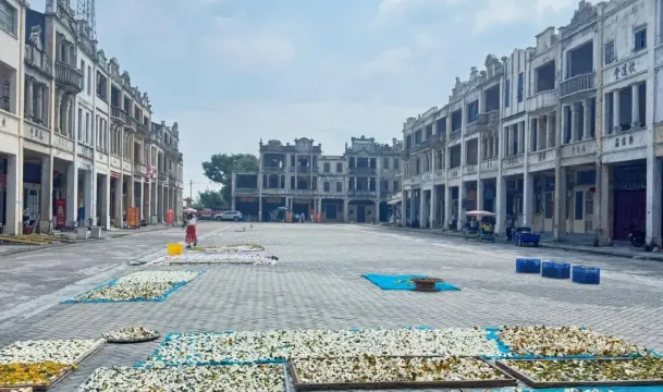 梅家大院