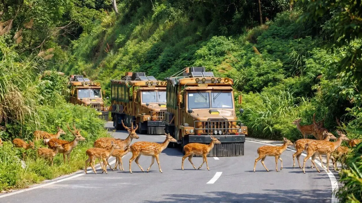 清遠長隆動物大越野