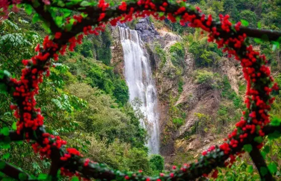 千谷溪~九重飛瀑