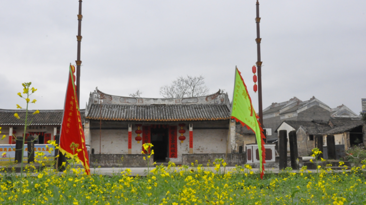 連灘油菜花基地