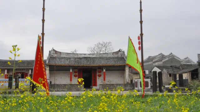 連灘油菜花基地