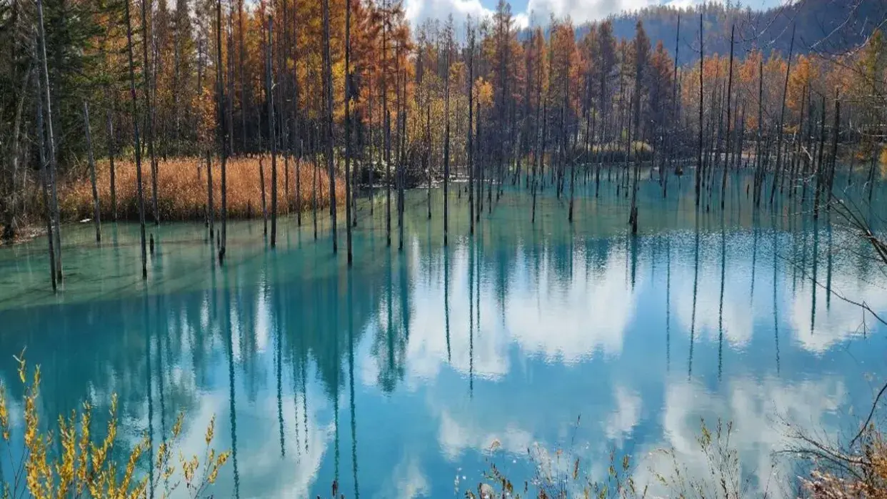 永安旅游