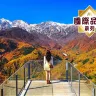 東京+富士山+長野縣6天團·楓紅秋色6天之旅【國際品牌~1晚白馬Courtyard by Marriott溫泉酒店及1晚輕井澤Marriott溫泉酒店】、賞紅葉名所~善光寺、三段紅葉絕景~白馬岩岳山頂展望台(包乘纜車)