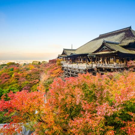 大阪+和歌山市+京都5天團·秋景溫泉小團遊《6人小團‧純玩團‧免收旅行團服務費‧不設指定購物點》