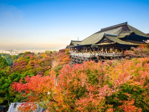 大阪+和歌山市+京都5天團·秋景溫泉小團遊《6人小團‧純玩團‧免收旅行團服務費‧不設指定購物點》 大阪+和歌山市+京都5天團·秋景溫泉小團遊《6人小團‧純玩團‧免收旅行團服務費‧不設指定購物點》