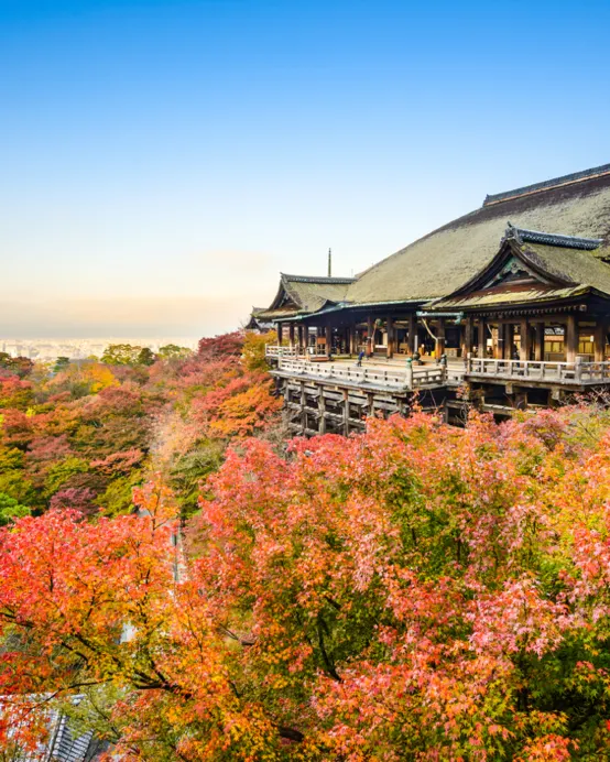 大阪+和歌山市+京都5天團·秋景溫泉小團遊《6人小團‧純玩團‧免收旅行團服務費‧不設指定購物點》