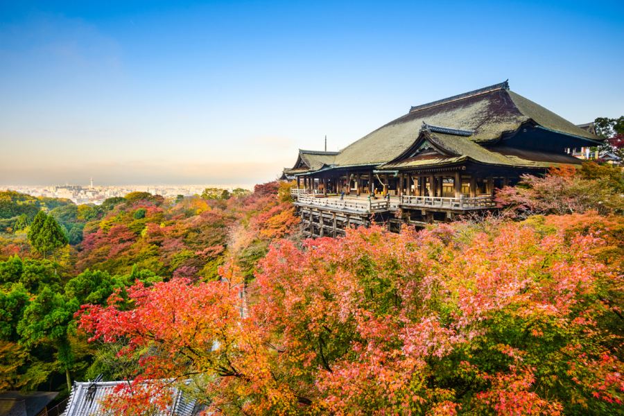 大阪+和歌山市+京都5天團·秋景溫泉小團遊《6人小團‧純玩團‧免收旅行團服務費‧不設指定購物點》