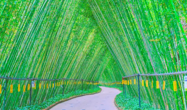 千谷溪~九重飛瀑