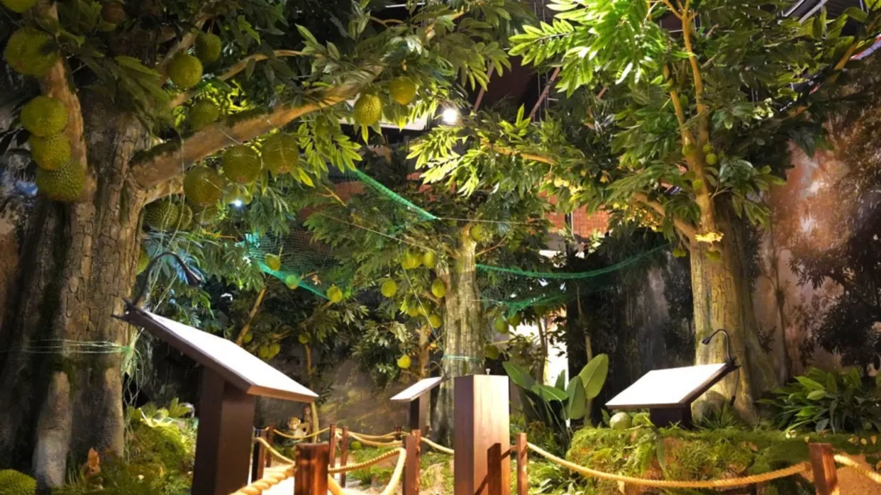 吉隆坡榴槤體驗中心
