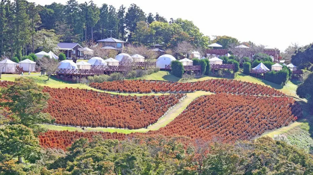 Mother Farm Glamping 