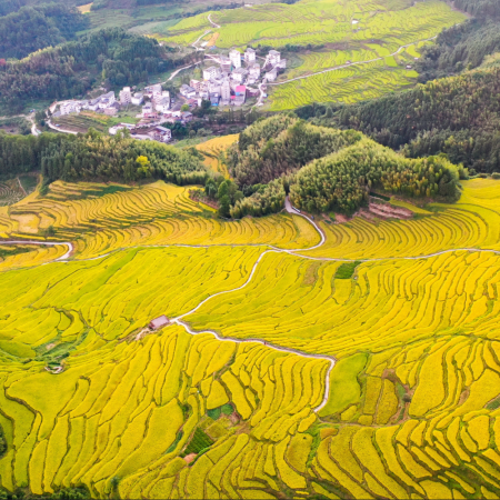 連南+陽山+英德3天團·《暢遊粵北四大美景&任浸含氟偏硅酸養生温泉》