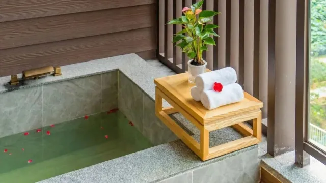 佛岡藥王穀湯泉康養酒店 