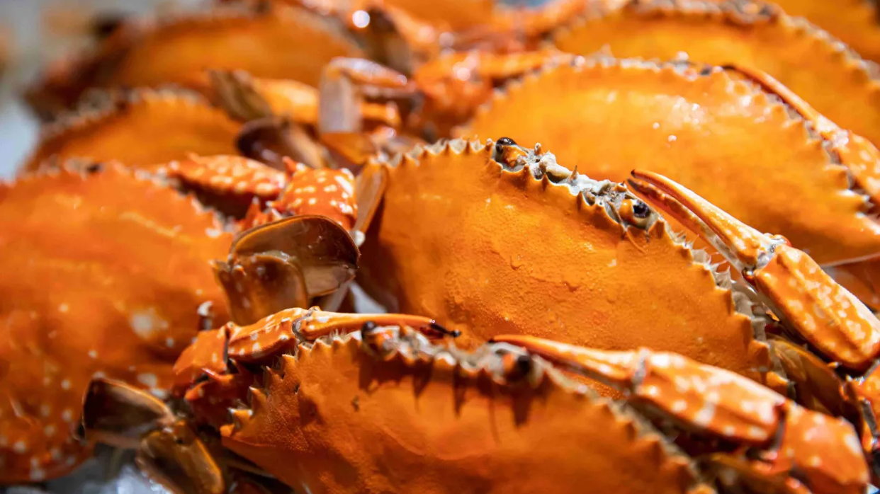 東莞松山湖華美達廣場酒店蟹