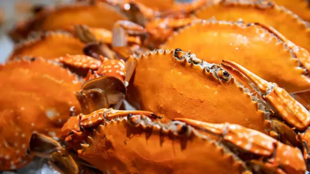 東莞松山湖華美達廣場酒店蟹