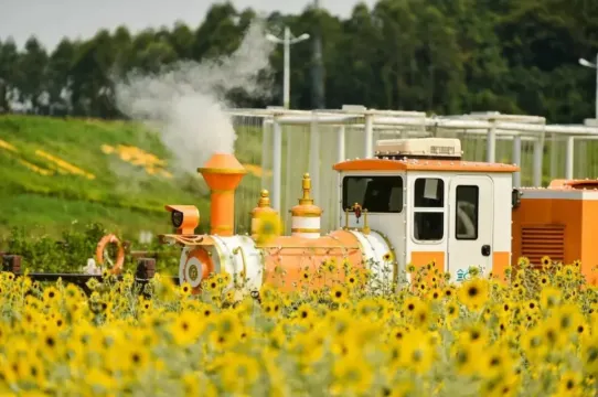 七彩花田小火車