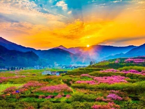 韶關3天團·《花田喜事(櫻花+李花+桃花)》 新豐櫻花峪+ “廣東私藏的小林芝”九峯山花海(李花+桃花)