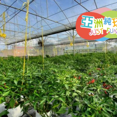 汶萊5天團·亞洲最富裕國家~汶萊 休閒親子純玩5天團 【水晶公園水上樂園Jerudong Park、IAM Food有機農場、ATV越野車體驗、汶萊傳統水鄉+品嚐地道糕點、船遊紅樹林尋找長鼻猴】