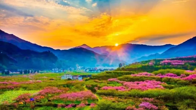 廣東小林芝~九峯山