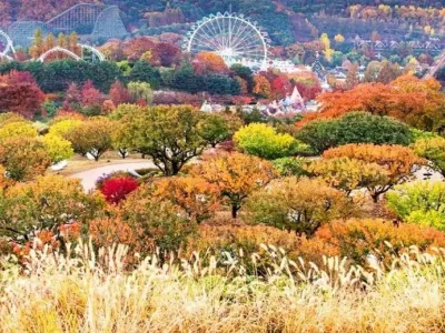 京畿道+釜山6天團·「炸雞體驗」1991橋村炸雞、愛寶樂園Everland、斜坡滑車SkylineLuge、義王鐵道自行車、釜山ArteMuseum、BluelinePark海雲台海岸列車《 限定出發: 10月21日 》