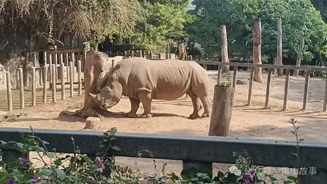 廣州動物園