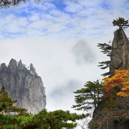 黃山市5天團·黃山5天純玩高鐵團、黃山（北海、西海風景區）住宿1晚黃山山上、屯溪黎陽IN巷、宏村、塔川、齊雲小鎮