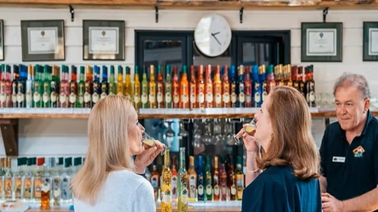 本地蒸餾酒廠品鑑