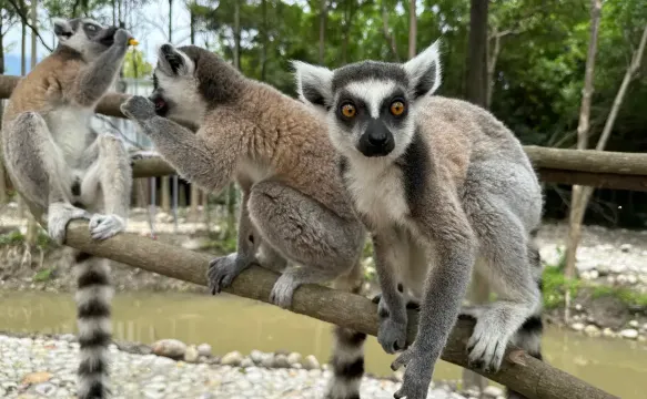 惠州浮生六季生態園