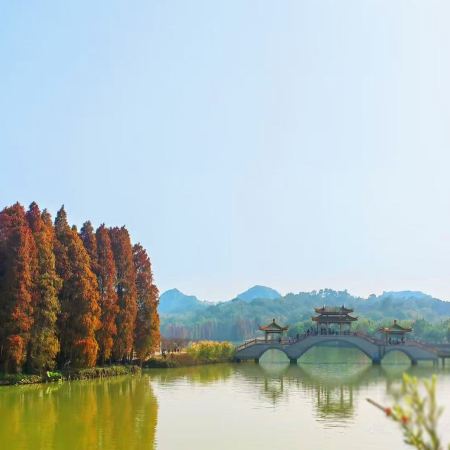 肇慶+佛山4天團·行好運悦城龍母廟祈福 踏春七星巖桃花島 船遊鶴鳥世界星湖濕地公園 沉浸式體驗佛山宋城廣東千古情