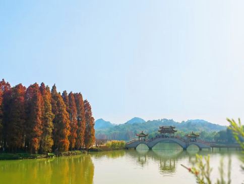 肇慶+佛山4天團·行好運悦城龍母廟祈福 踏春七星巖桃花島 船遊鶴鳥世界星湖濕地公園 沉浸式體驗佛山宋城廣東千古情
