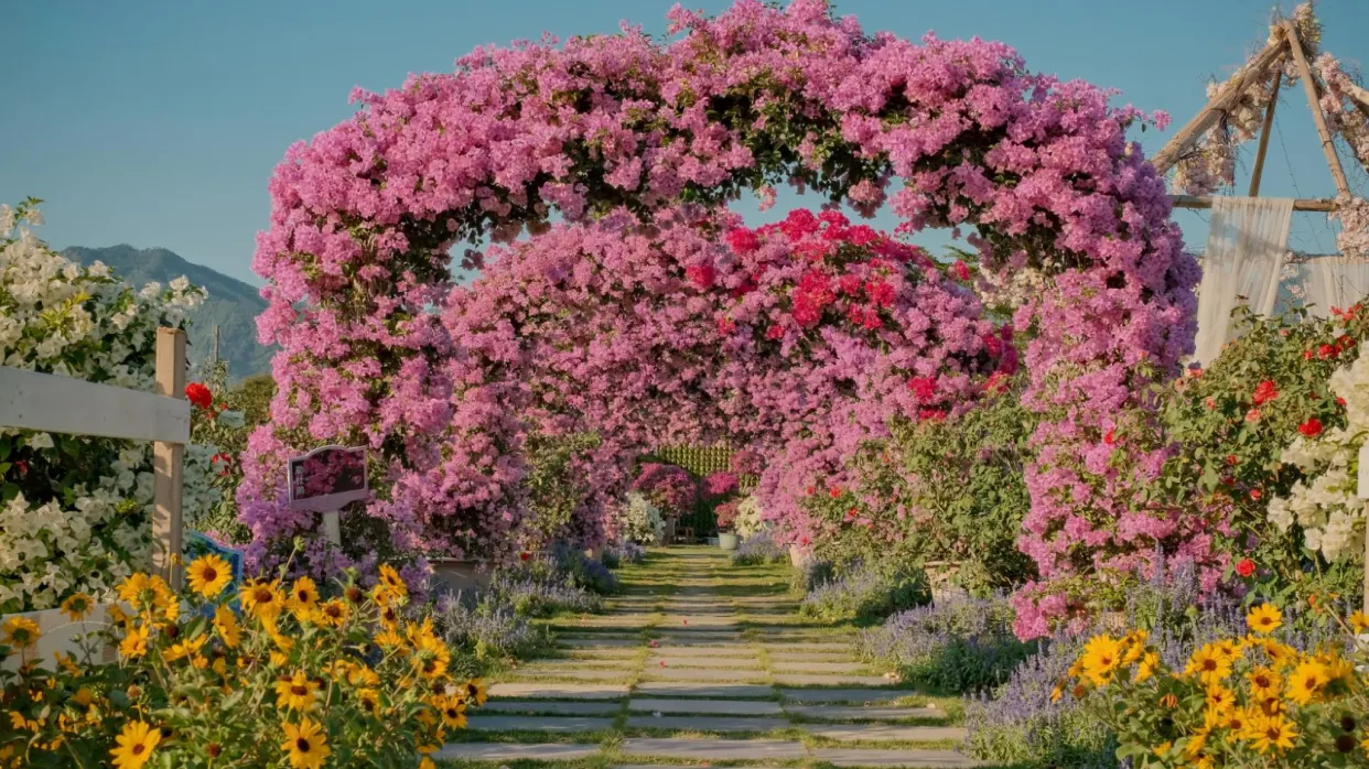 花卉莊園·奇跡花園