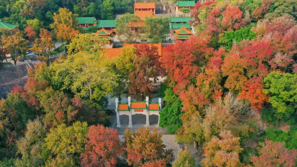 圭峰山風景區賞紅葉