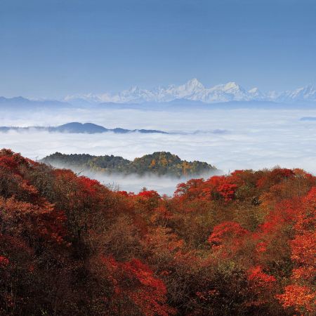 成都8天團·🍁飛機去高鐵回【獨家】連住3晚九寨天堂洲際酒店※深度遊覽九寨溝(獨立包車)、峨眉山金頂(獨立包車)、黃龍、樂山大佛遊船、大熊貓繁育研究基地、漫遊成都City Walk