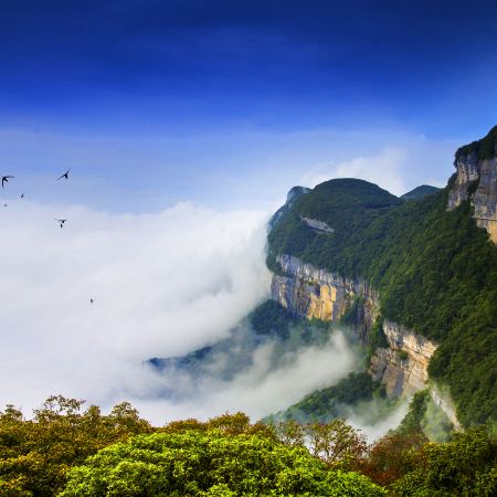 重慶5天團·✨渝城奇景・世界自然遺產金佛山純玩休閒✨4 晚五鑽酒店、VIP 非遺川劇互動、金佛山索道全含、李子壩輕軌、洪崖洞、十八梯、彈子石老街、磁器口古鎮