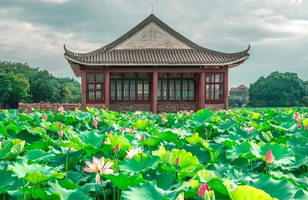 永安旅游