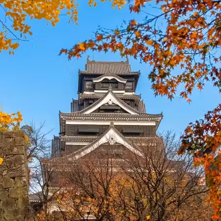 福岡+熊本縣+鹿兒島縣7天團·賞紅葉名所(「日本三大名城」熊本城、熊本回遊式庭園～水前寺公園、仙巖園、霧島神宮、「米芝蓮景點推介」太宰府～天滿宮、金鱗湖)、高千穗牧場、可口可樂工房見學、5晚溫泉酒店