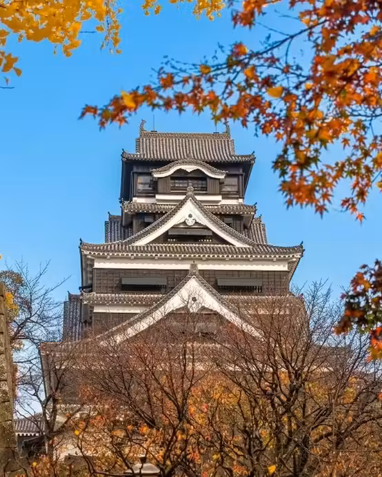 福岡+熊本縣+鹿兒島縣7天團·賞紅葉名所(「日本三大名城」熊本城、熊本回遊式庭園~水前寺公園、仙巖園、霧島神宮、「米芝蓮景點推介」太宰府~天滿宮、金鱗湖)、高千穗牧場、可口可樂工房見學、5晚溫泉酒店